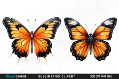 Butterfly Illustration PNG Clipart Product Image 1