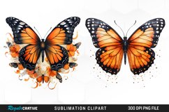 Butterfly Illustration PNG Clipart Product Image 1