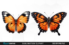 Butterfly Illustration PNG Clipart Product Image 1
