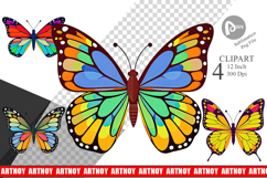 Spring Butterfly Clipart Product Image 1
