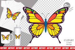 Spring Butterfly Clipart Product Image 1