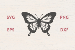 Butterfly tail SVG Product Image 1