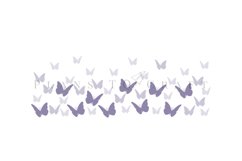 butterfly libbey beer can glass full wrap svg presized template for 16oz and 20oz glass for Cricut Silhouette and sublimation