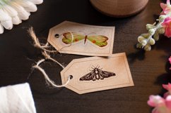 butterfly stickers on tags