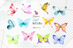 Watercolor Butterflies, hand painted, png file - 004 Product Image 5