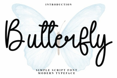 Butterfly Product Image 1