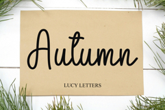 Butterfly Product Image 7