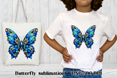 Summer butterfly clipart | Butterfly feather sublimation Product Image 1