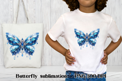 Summer butterfly clipart | Butterfly feather sublimation Product Image 1