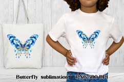 Summer butterfly clipart | Butterfly feather sublimation Product Image 1