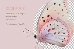 Butterfly Clipart | Watercolor Clipart PNG Product Image 3