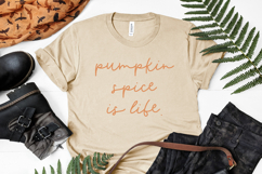 Butternut Script Product Image 2