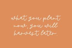 Butternut Script Product Image 3