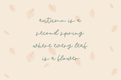 Butternut Script Product Image 8