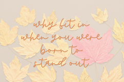 Butternut Script Product Image 9