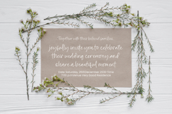 Buttery Delight - Beautiful Handwritten Script Product Image 15