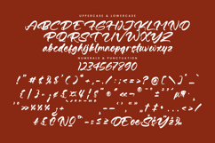 Buttons - Modern Handwritten Script Font Product Image 13