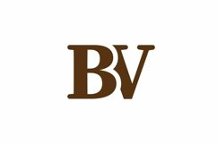 BV logo design vector template Product Image 1