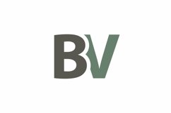 BV logo design vector template Product Image 1