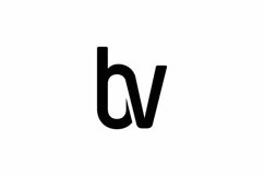 BV logo design vector template Product Image 1