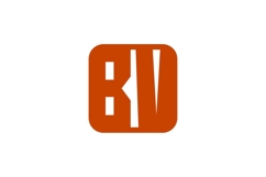 BV Logo Design Product Image 1