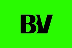 BV Logo Design Product Image 1