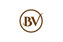 BV Logo Design Product Image 1