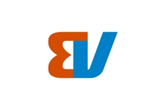BV Logo Design Product Image 1