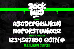 Back Wild | Rounded Graffiti Webfont Product Image 2