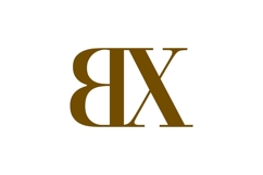 BX Logo Design Product Image 1