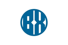 BX Logo Design Product Image 1