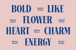 Bycorps Existent - Modern Bold Serif Product Image 4