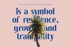 Bycorps Existent - Modern Bold Serif Product Image 12