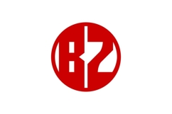 BZ Logo Design Product Image 1