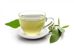 Aromatic tea cup plant. Generate Ai Product Image 1
