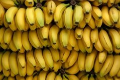 Banana fruits organic background. Generate Ai Product Image 1