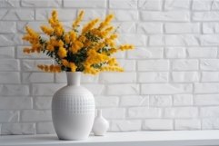 Blossom mimosa. Generate Ai Product Image 1