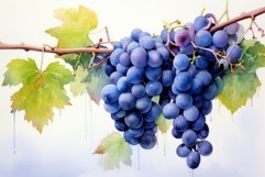 Soothing Blue grape watercolor. Generate Ai Product Image 1