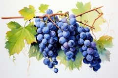 Expressive Blue grape watercolor. Generate Ai Product Image 1