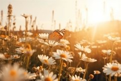 Butterfly field chamomile plant. Generate Ai Product Image 1