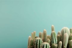 Cactus mockup shelf background. Generate Ai Product Image 1