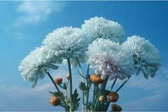 Chrysanthemums blue sky. Generate Ai Product Image 1