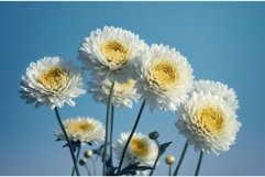 Chrysanthemums blue sky dahlia. Generate Ai Product Image 1