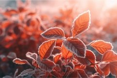 Colorful frozen nature leaves. Generate ai Product Image 1