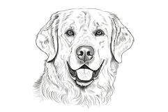 Coloring book retriever dog banner face. Generate Ai Product Image 1