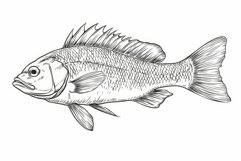 Coloring book fish. Generate Ai Product Image 1