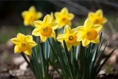 Daffodils yellow spring flowers bunch. Generate ai Product Image 1