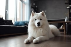 White dog modern room. Generate Ai Product Image 1
