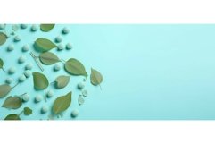 Eucalyptus lollipop banner. Generate Ai Product Image 1