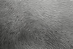 Individualistic Fingerprint colorful. Generate Ai Product Image 1